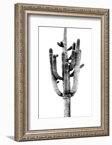 Saguaro Black & White II-Mia Jensen-Framed Photo