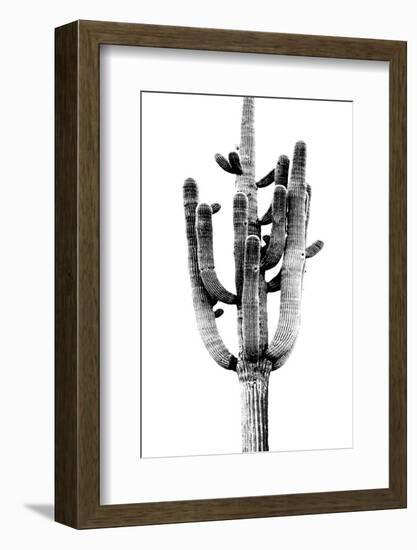 Saguaro Black & White II-Mia Jensen-Framed Photo