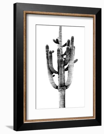 Saguaro Black & White II-Mia Jensen-Framed Photo