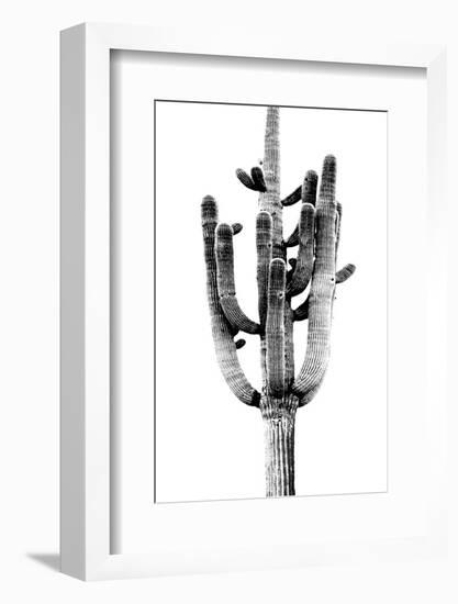 Saguaro Black & White II-Mia Jensen-Framed Photo