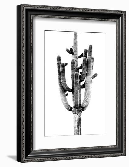 Saguaro Black & White II-Mia Jensen-Framed Photo