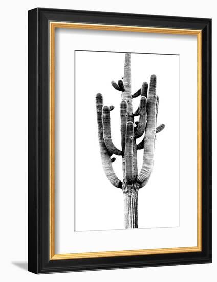 Saguaro Black & White II-Mia Jensen-Framed Photo