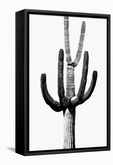Saguaro Black & White III-Mia Jensen-Framed Stretched Canvas