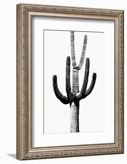 Saguaro Black & White III-Mia Jensen-Framed Photo