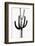 Saguaro Black & White III-Mia Jensen-Framed Photo