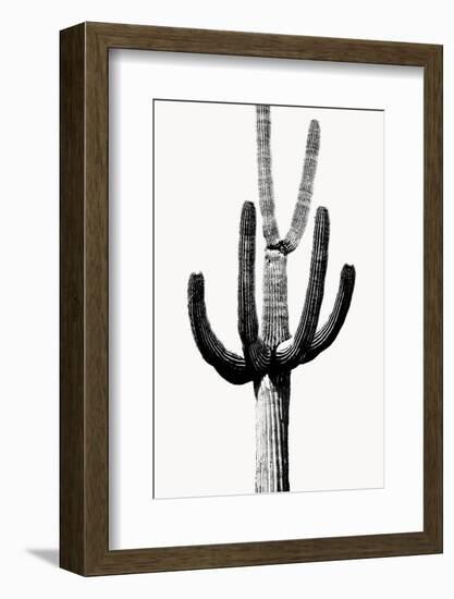 Saguaro Black & White III-Mia Jensen-Framed Photo