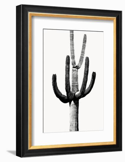Saguaro Black & White III-Mia Jensen-Framed Photo