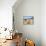 Saguaro Cacti and Barrel Cacti in Bloom, Saguaro National Park-Wendy Connett-Photographic Print displayed on a wall