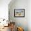 Saguaro Cacti and Barrel Cacti in Bloom, Saguaro National Park-Wendy Connett-Framed Photographic Print displayed on a wall