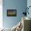 Saguaro cacti (Carnegia gigantea) in desert at sunset during storm, Sonoran Desert, Saguaro Nati...-Panoramic Images-Framed Premier Image Canvas displayed on a wall