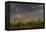 Saguaro cacti (Carnegia gigantea) in desert at sunset during storm, Sonoran Desert, Saguaro Nati...-Panoramic Images-Framed Premier Image Canvas