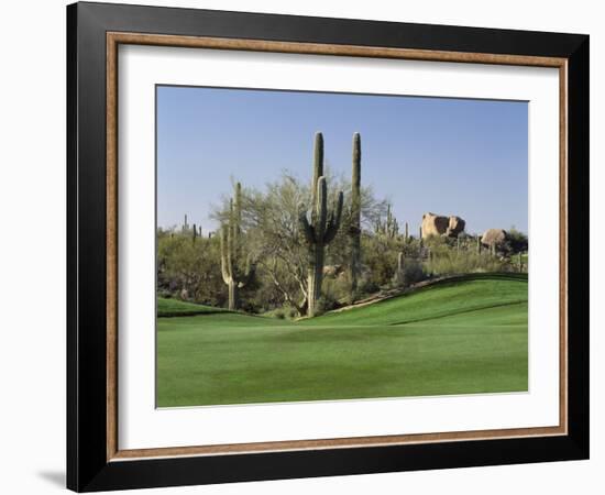 Saguaro Cacti in a Golf Course, Troon North Golf Club, Scottsdale, Maricopa County, Arizona, USA-null-Framed Photographic Print