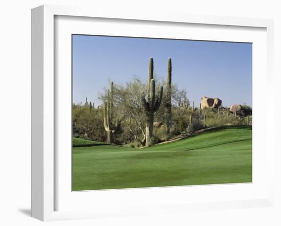 Saguaro Cacti in a Golf Course, Troon North Golf Club, Scottsdale, Maricopa County, Arizona, USA-null-Framed Photographic Print