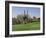 Saguaro Cacti in a Golf Course, Troon North Golf Club, Scottsdale, Maricopa County, Arizona, USA-null-Framed Photographic Print