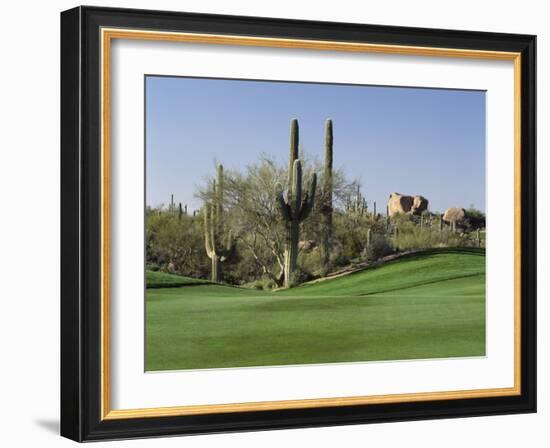 Saguaro Cacti in a Golf Course, Troon North Golf Club, Scottsdale, Maricopa County, Arizona, USA-null-Framed Photographic Print