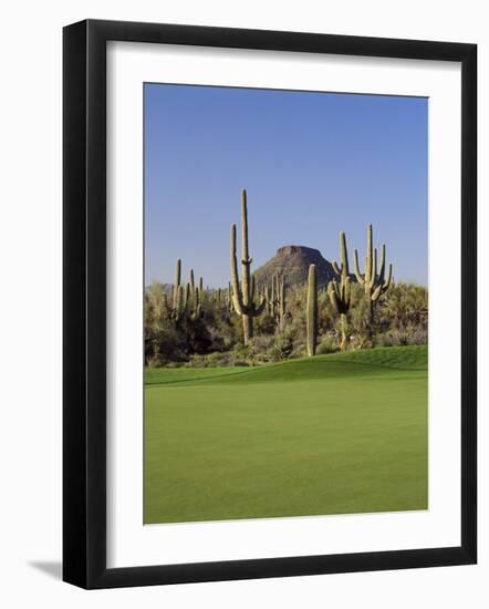 Saguaro Cacti in a Golf Course, Troon North Golf Club, Scottsdale, Maricopa County, Arizona, USA-null-Framed Photographic Print