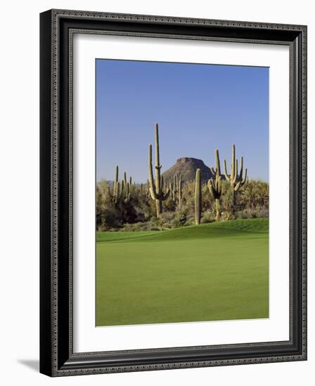 Saguaro Cacti in a Golf Course, Troon North Golf Club, Scottsdale, Maricopa County, Arizona, USA-null-Framed Photographic Print