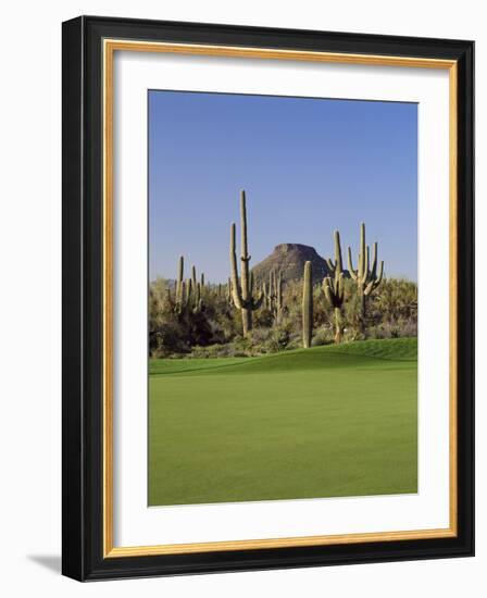 Saguaro Cacti in a Golf Course, Troon North Golf Club, Scottsdale, Maricopa County, Arizona, USA-null-Framed Photographic Print