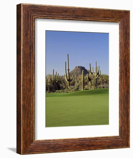 Saguaro Cacti in a Golf Course, Troon North Golf Club, Scottsdale, Maricopa County, Arizona, USA-null-Framed Photographic Print