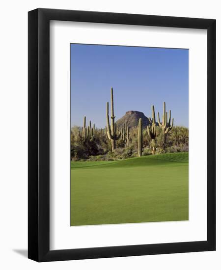 Saguaro Cacti in a Golf Course, Troon North Golf Club, Scottsdale, Maricopa County, Arizona, USA-null-Framed Photographic Print