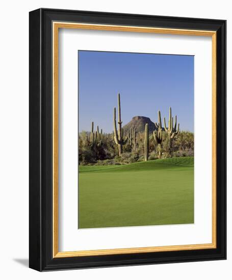 Saguaro Cacti in a Golf Course, Troon North Golf Club, Scottsdale, Maricopa County, Arizona, USA-null-Framed Photographic Print