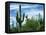 Saguaro cacti, Saguaro National Park, Arizona, USA-Charles Gurche-Framed Premier Image Canvas