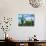 Saguaro cacti, Saguaro National Park, Arizona, USA-Charles Gurche-Photographic Print displayed on a wall