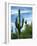 Saguaro cacti, Saguaro National Park, Arizona, USA-Charles Gurche-Framed Photographic Print