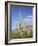 Saguaro Cacti, Saguaro National Park, Rincon Mountain District, Tucson, Arizona-Wendy Connett-Framed Photographic Print