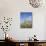 Saguaro Cacti, Saguaro National Park, Rincon Mountain District, Tucson, Arizona-Wendy Connett-Photographic Print displayed on a wall