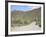 Saguaro Cacti, Saguaro National Park, Tuscon Mountain District West Unit, Tucson, Arizona-Wendy Connett-Framed Photographic Print