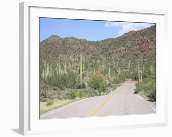 Saguaro Cacti, Saguaro National Park, Tuscon Mountain District West Unit, Tucson, Arizona-Wendy Connett-Framed Photographic Print