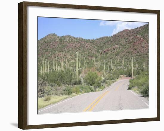 Saguaro Cacti, Saguaro National Park, Tuscon Mountain District West Unit, Tucson, Arizona-Wendy Connett-Framed Photographic Print