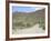 Saguaro Cacti, Saguaro National Park, Tuscon Mountain District West Unit, Tucson, Arizona-Wendy Connett-Framed Photographic Print