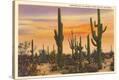 Stretched Canvas Print