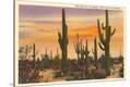 Stretched Canvas Print