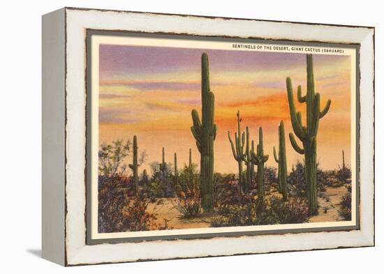 Saguaro Cacti-null-Framed Stretched Canvas