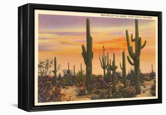 Saguaro Cacti-null-Framed Stretched Canvas