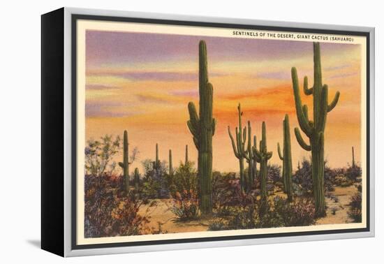 Saguaro Cacti-null-Framed Stretched Canvas