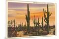 Premium Giclee Print