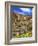 Saguaro Cactus, Ajo, Arizona, USA-Peter Hawkins-Framed Photographic Print