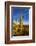 Saguaro Cactus along the Hugh Norris Trail in Saguaro National Park in Tucson, Arizona, USA-Chuck Haney-Framed Photographic Print