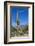 Saguaro Cactus and Flowers-desertsolitaire-Framed Photographic Print