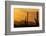 Saguaro Cactus and Mountains, Pima County, Saguaro National Park, Arizona, USA-null-Framed Photographic Print