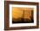 Saguaro Cactus and Mountains, Pima County, Saguaro National Park, Arizona, USA-null-Framed Photographic Print