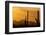 Saguaro Cactus and Mountains, Pima County, Saguaro National Park, Arizona, USA-null-Framed Photographic Print