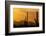 Saguaro Cactus and Mountains, Pima County, Saguaro National Park, Arizona, USA-null-Framed Photographic Print