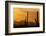 Saguaro Cactus and Mountains, Pima County, Saguaro National Park, Arizona, USA-null-Framed Photographic Print