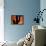 Saguaro Cactus and Wren, Sonoran Desert, Arizona, USA-Marilyn Parver-Framed Premier Image Canvas displayed on a wall