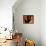 Saguaro Cactus and Wren, Sonoran Desert, Arizona, USA-Marilyn Parver-Framed Premier Image Canvas displayed on a wall